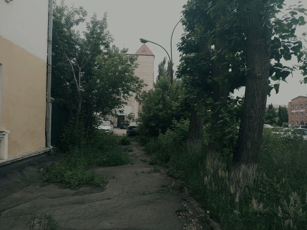 Природа в городе. - Игорь Солдаткин