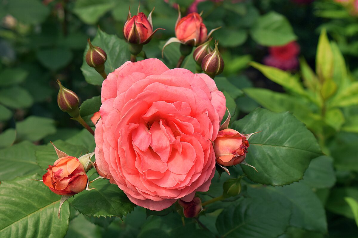 Июнь почти готов поставить точку. - Татьяна Помогалова