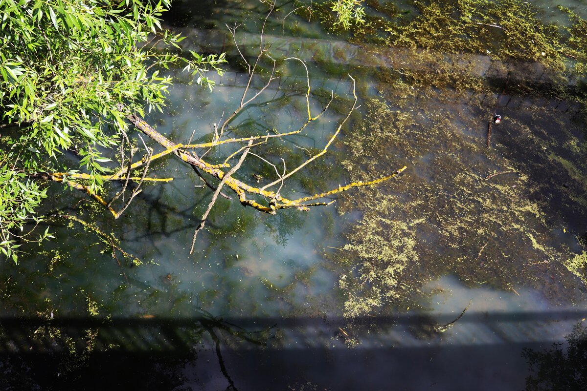 Омут. - Василий Палий