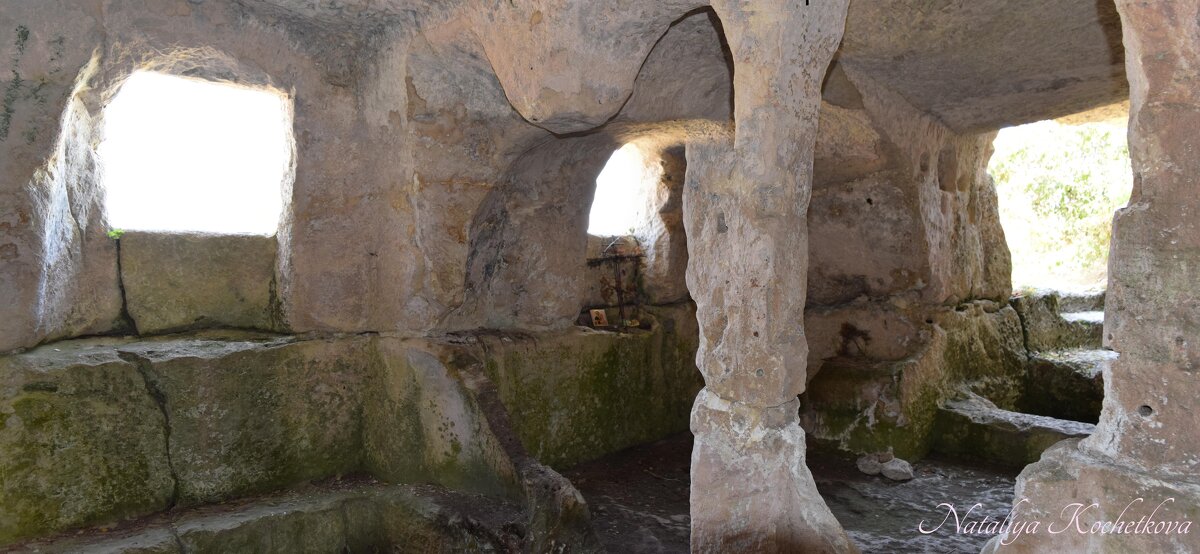 Природа Крыма - Amazing Cosmea