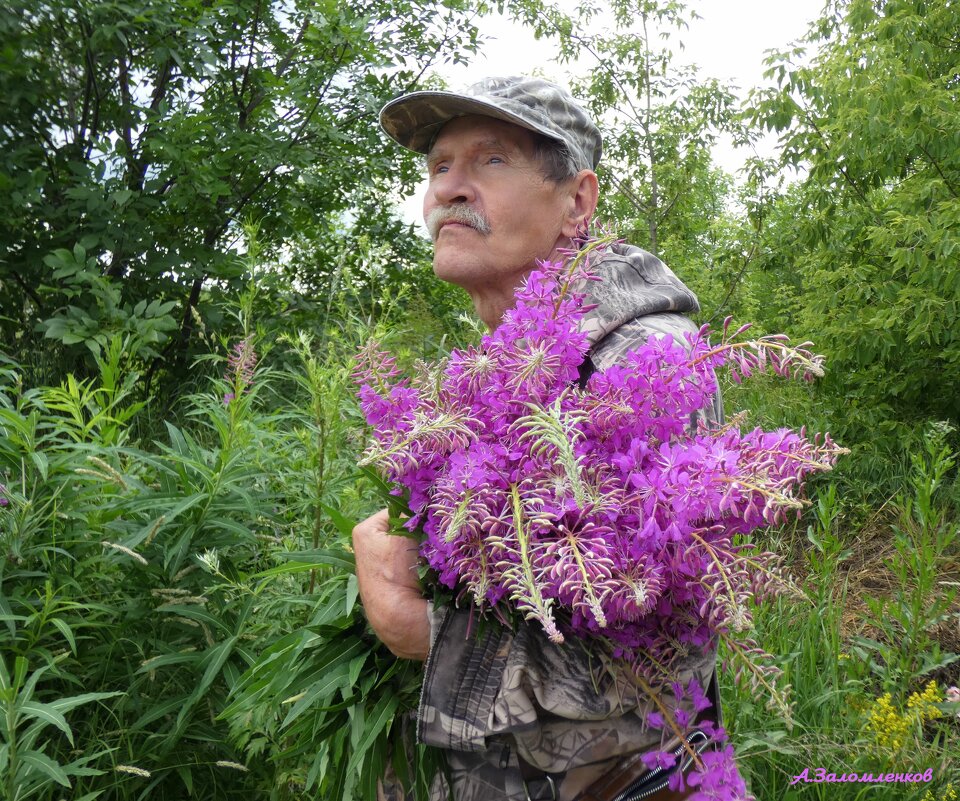 Про иван-чай.. - Андрей Заломленков