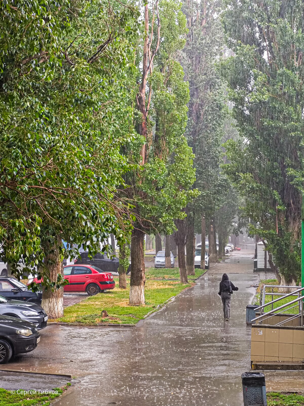 Ливень. - Сергей Гибков