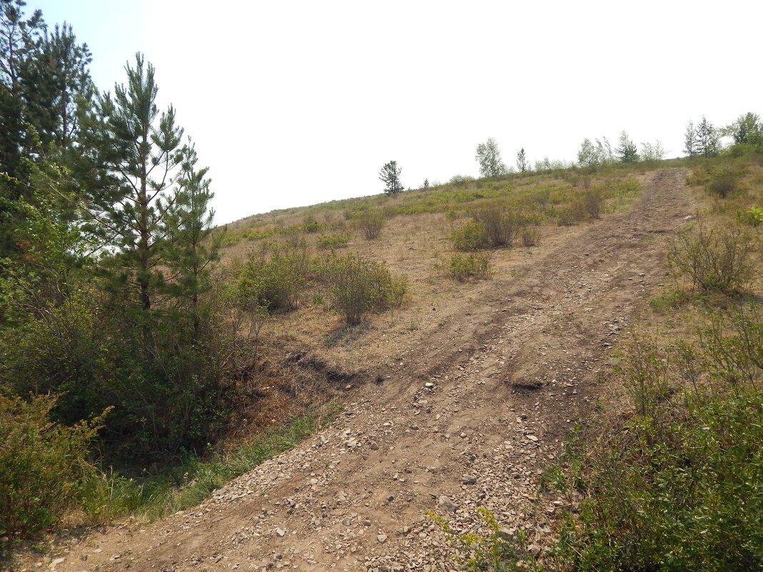 Вид на вершину «Титовская сопка» - Екатерина Панова