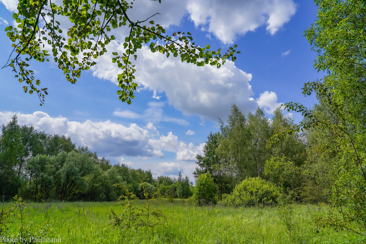 Конец июня... - Владимир Жданов
