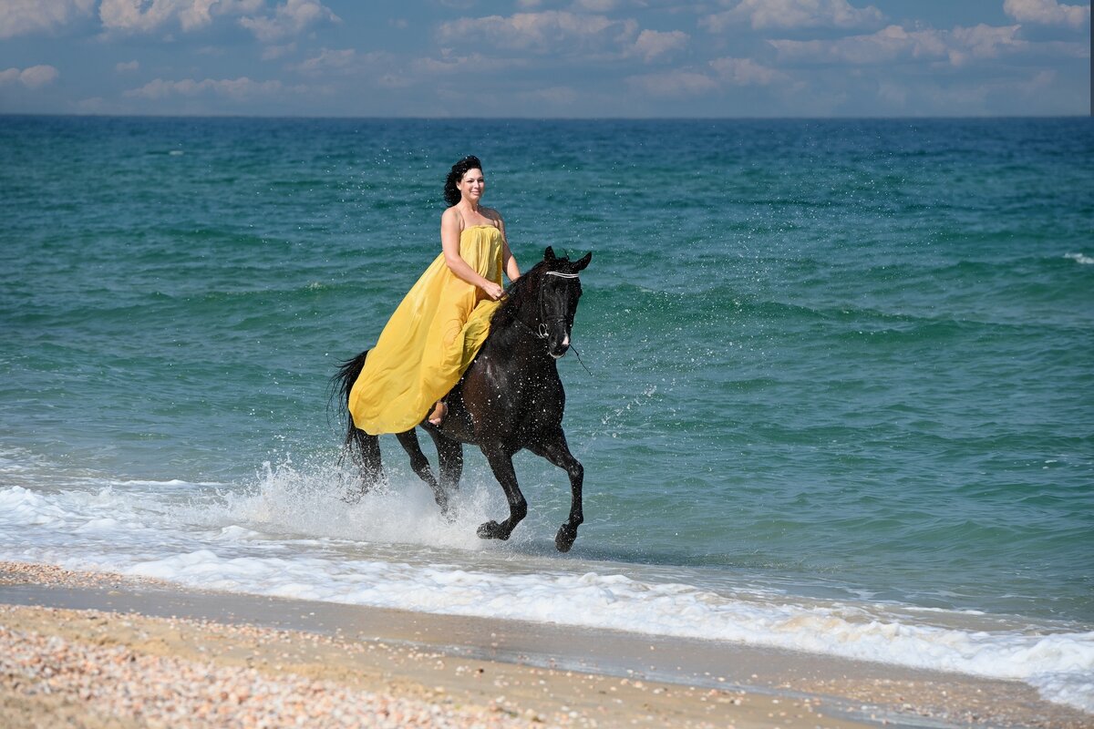 Грация в галлопе - Valentin Bondarenko