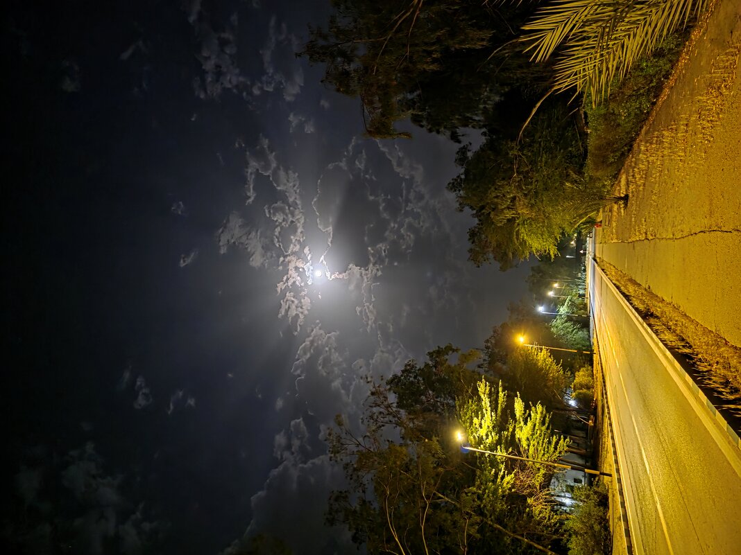 1 - Конрад Карлович Михельсон