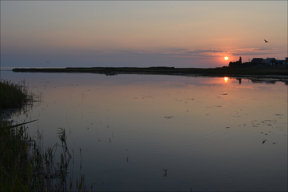 ВЕЧЕРНИЙ СВЕТ... - Татьяна Касьяненко ВЕЧЕРНИЙ СВЕТ... - Татьяна Касьяненко