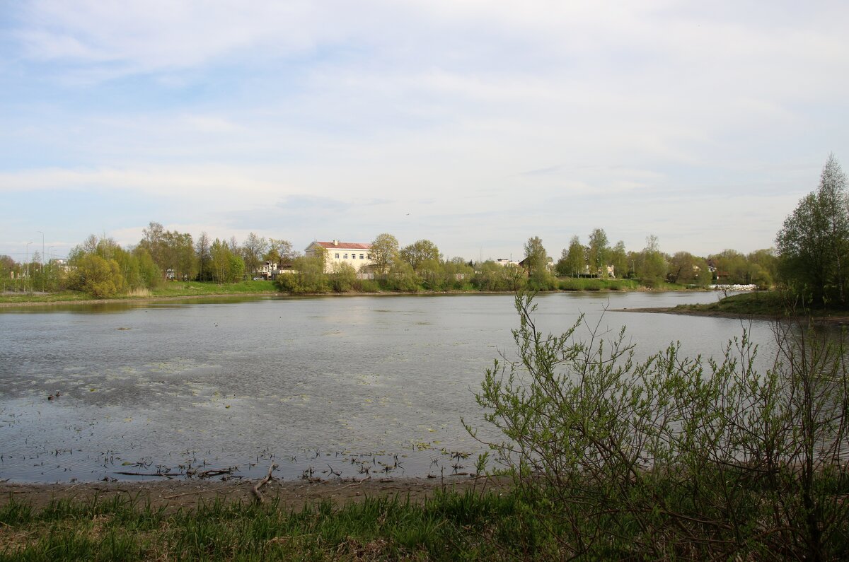 Стрельна. Орловский пруд - Наталья Герасимова