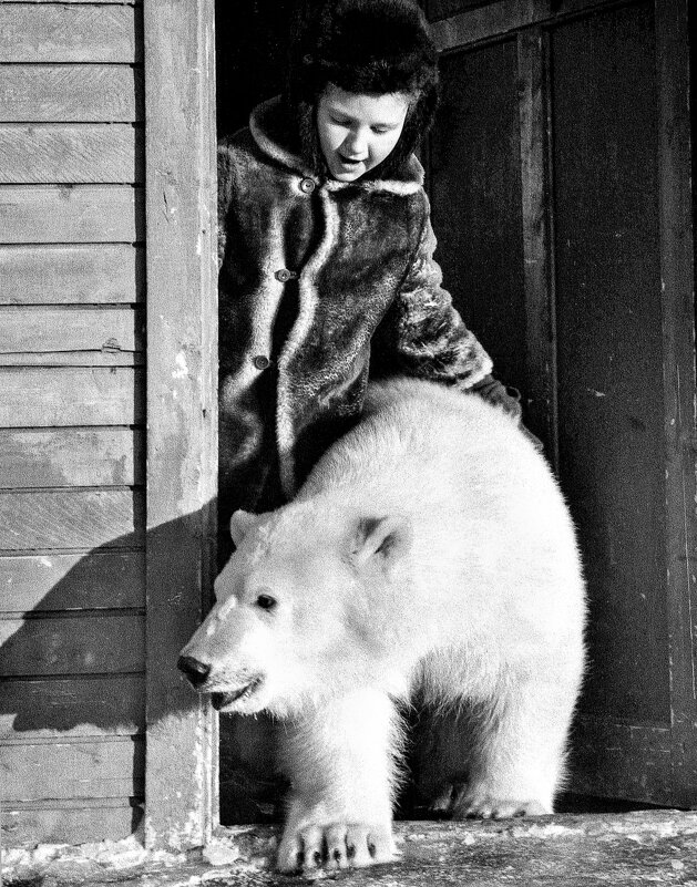 Домашних животных положено выгуливать. - Игорь Викторов Домашних животных положено выгуливать. - Игорь Викторов