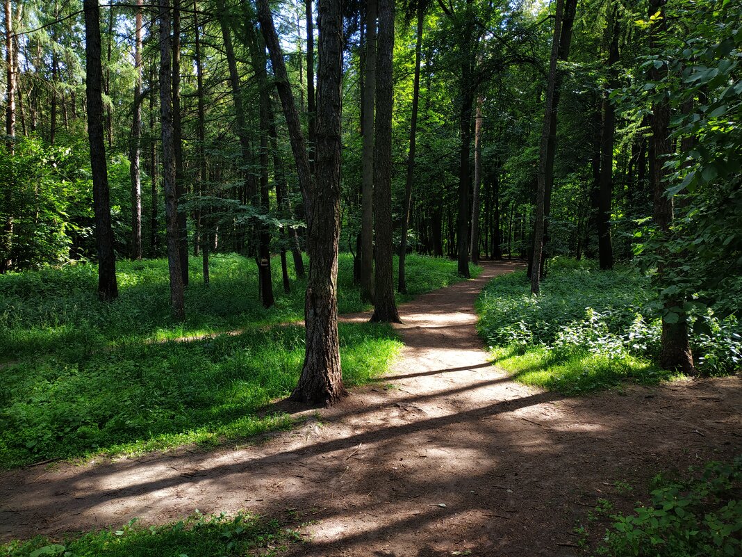 * * * - Андрей Лукьянов * * * - Андрей Лукьянов