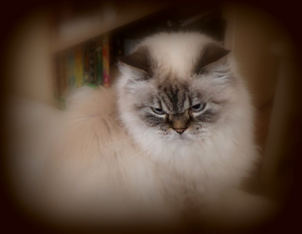 Дедушка Тихон - Сергей Карачин Дедушка Тихон - Сергей Карачин