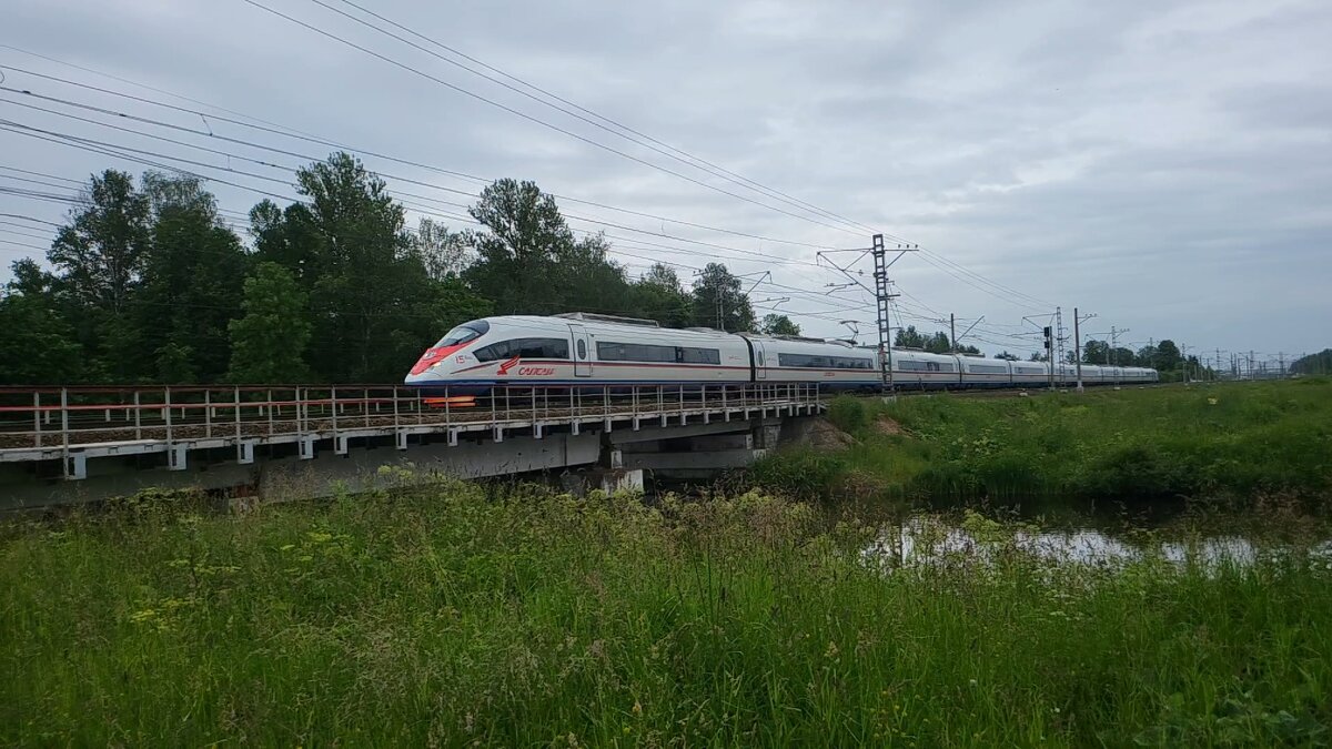 Сапсан в русском пейзаже - ast62 