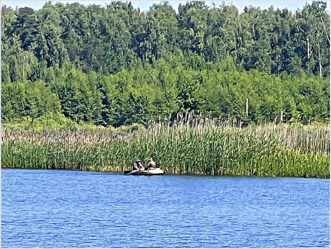 На Торфяном озере. - Валерия Комова На Торфяном озере. - Валерия Комова