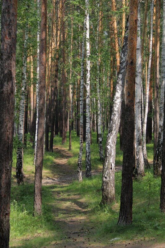 тропа - Игорь 