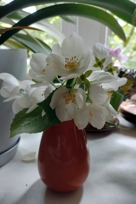 *** - Валентина Береснева