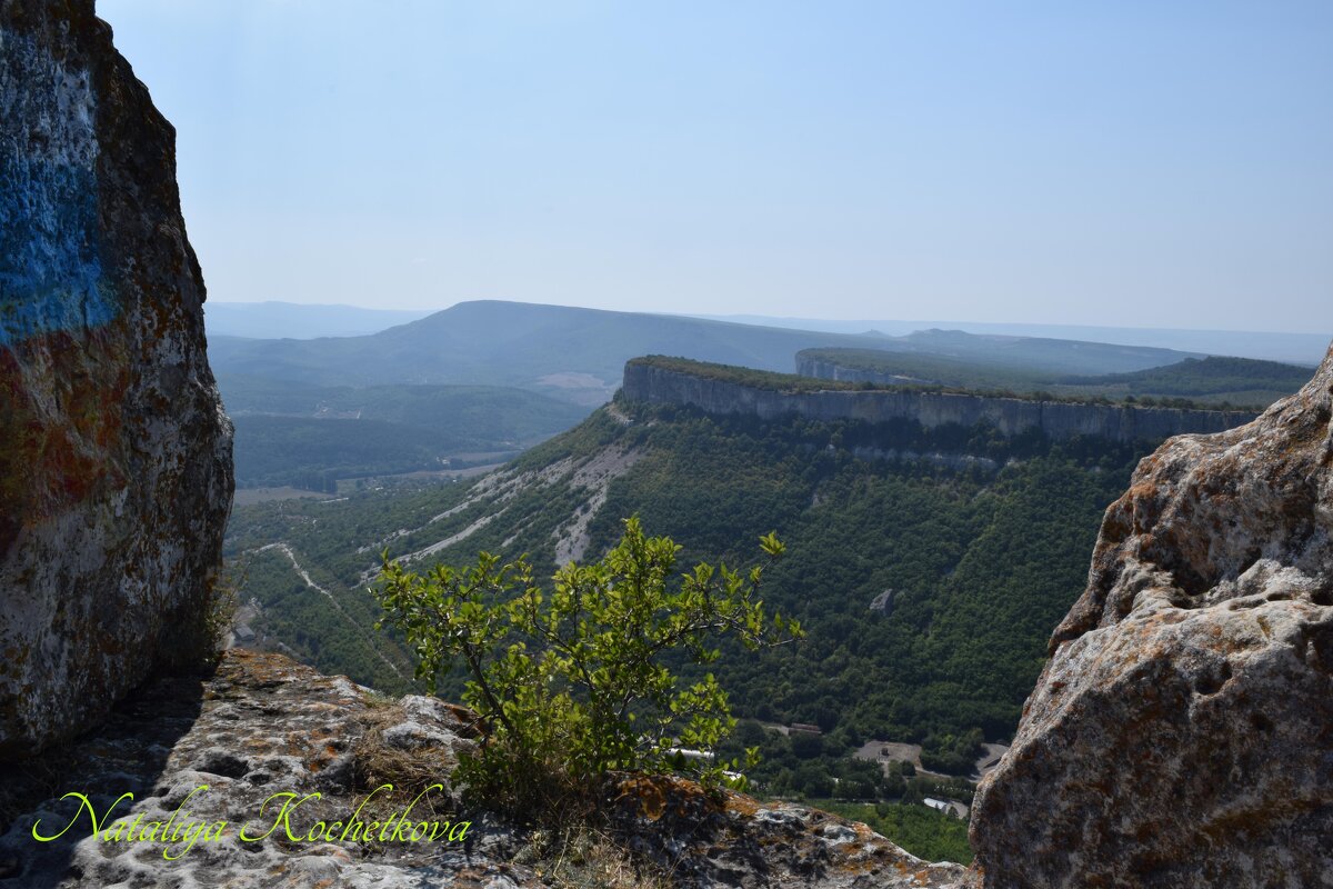 Природа Крыма - Amazing Cosmea