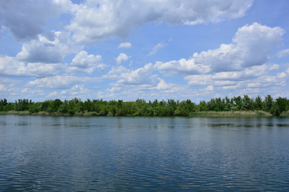 У Дона. - Виктор 