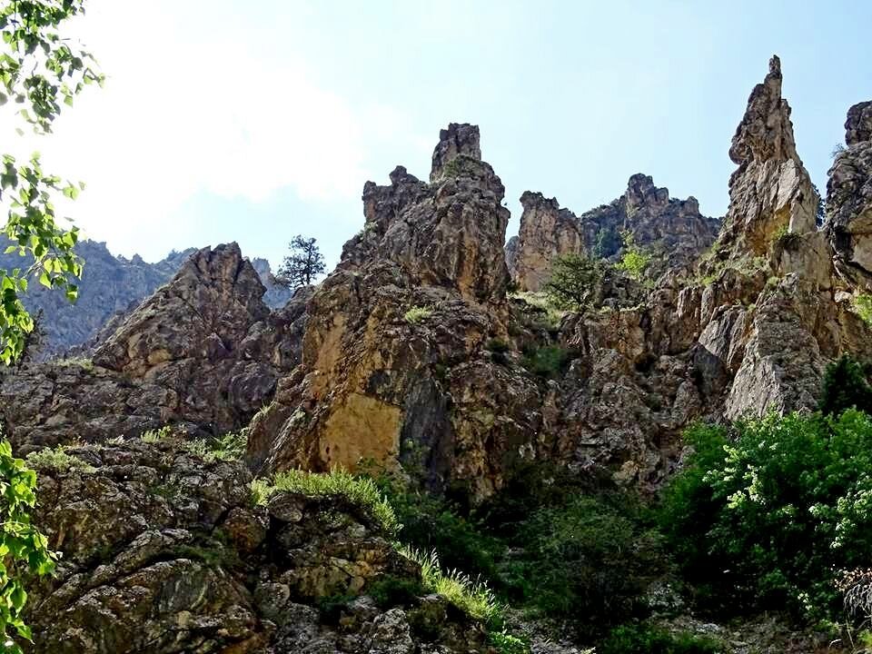 ПО ГОРАМ. - Виктор Осипчук