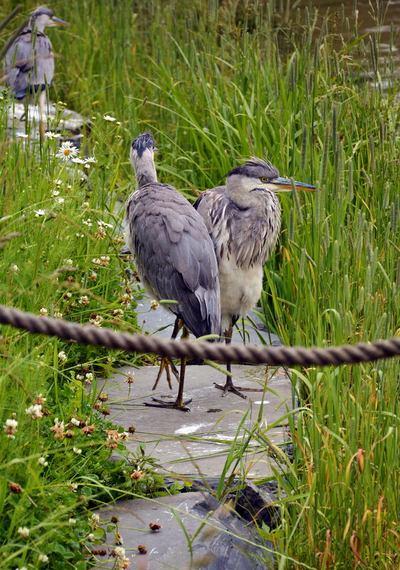 Поговорим! - Леонид Иванчук