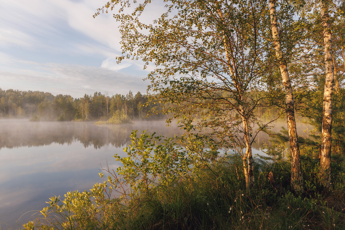 Утро туманное - Sergey38 