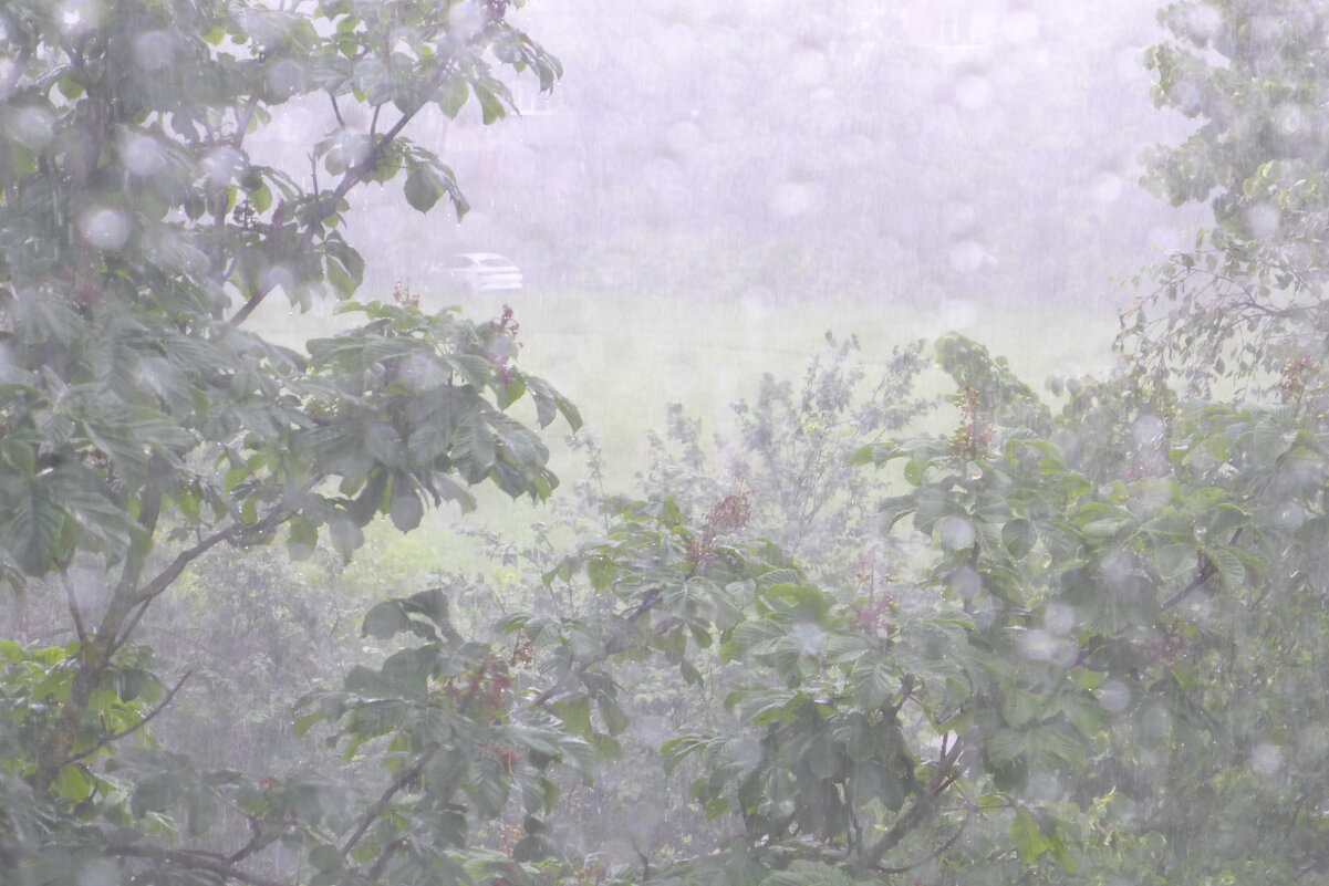 Гроза. - Харис Шахмаметьев