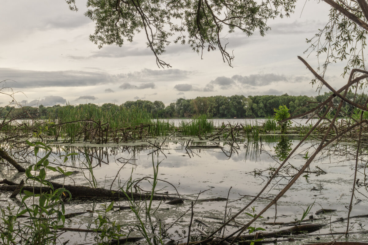 Затоп - sorovey Sol