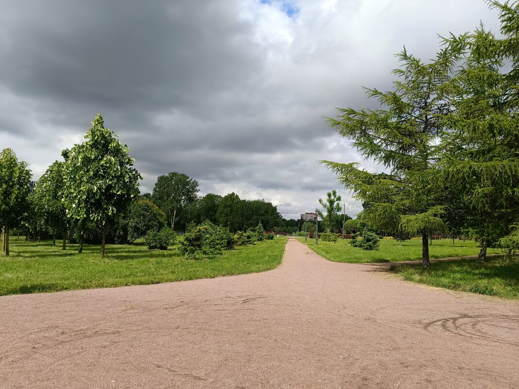 Хмурое небо июня... - Мария Васильева