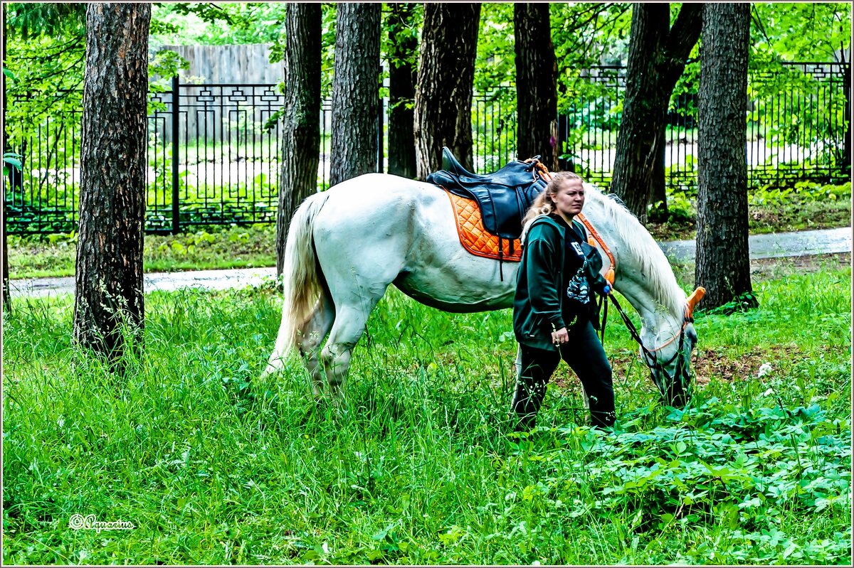 В летнем парке... - Aquarius - Сергей