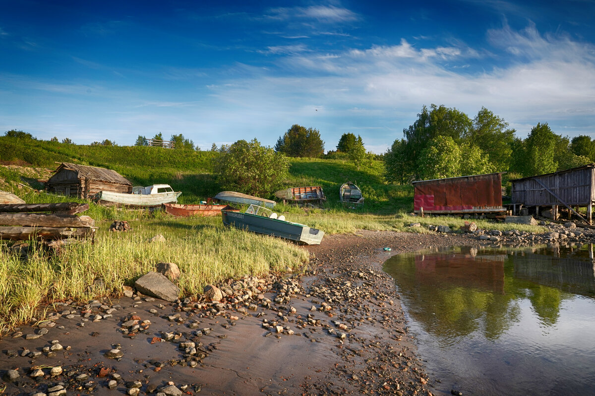 *** - Виталий Бенгард