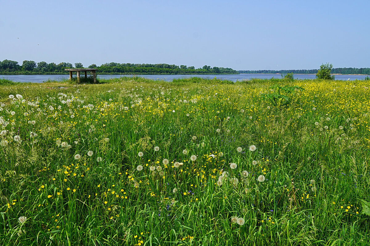 Летом на Томи - Галина Кан Летом на Томи - Галина Кан