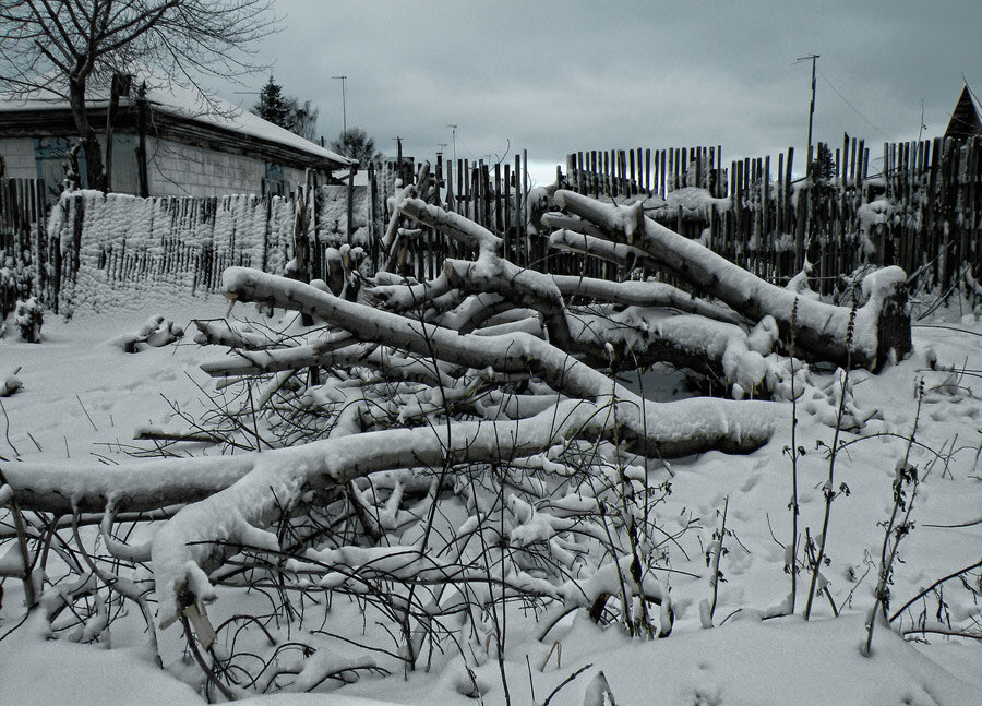 Первый снег - SanSan 