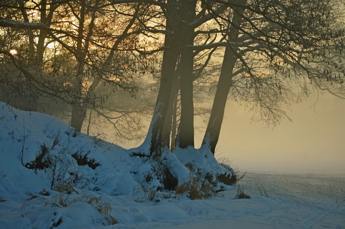 Утром туманным.... - Юрий Цыплятников Утром туманным.... - Юрий Цыплятников