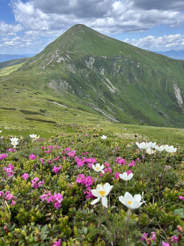 ранкові Карпати - Степан Карачко