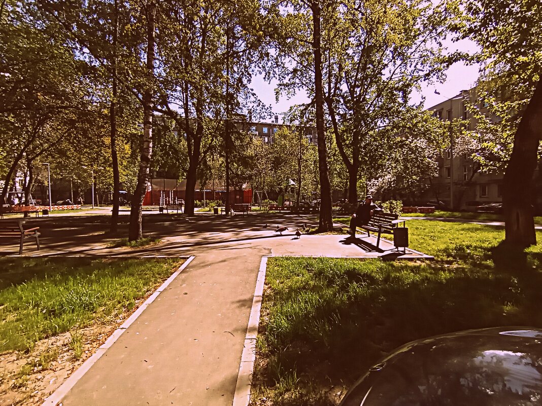 Московский дворик. - Владимир Драгунский