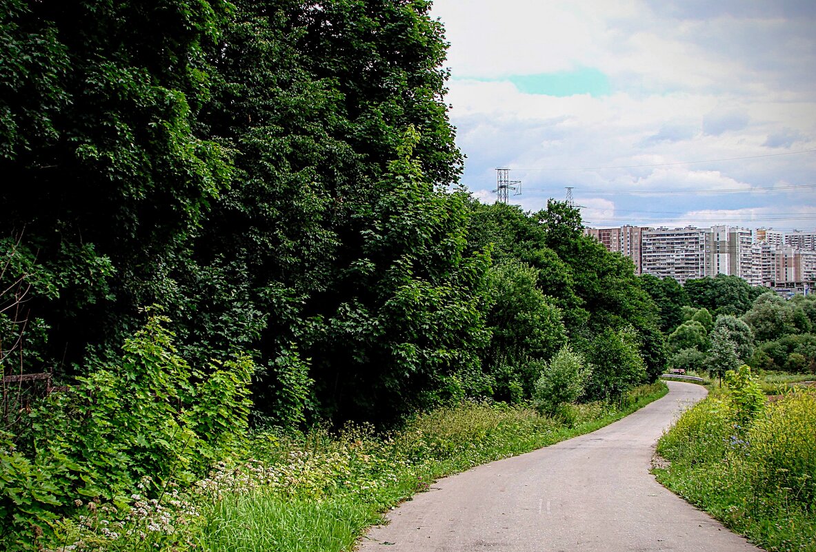 Аллея для прогулок - Анатолий Колосов