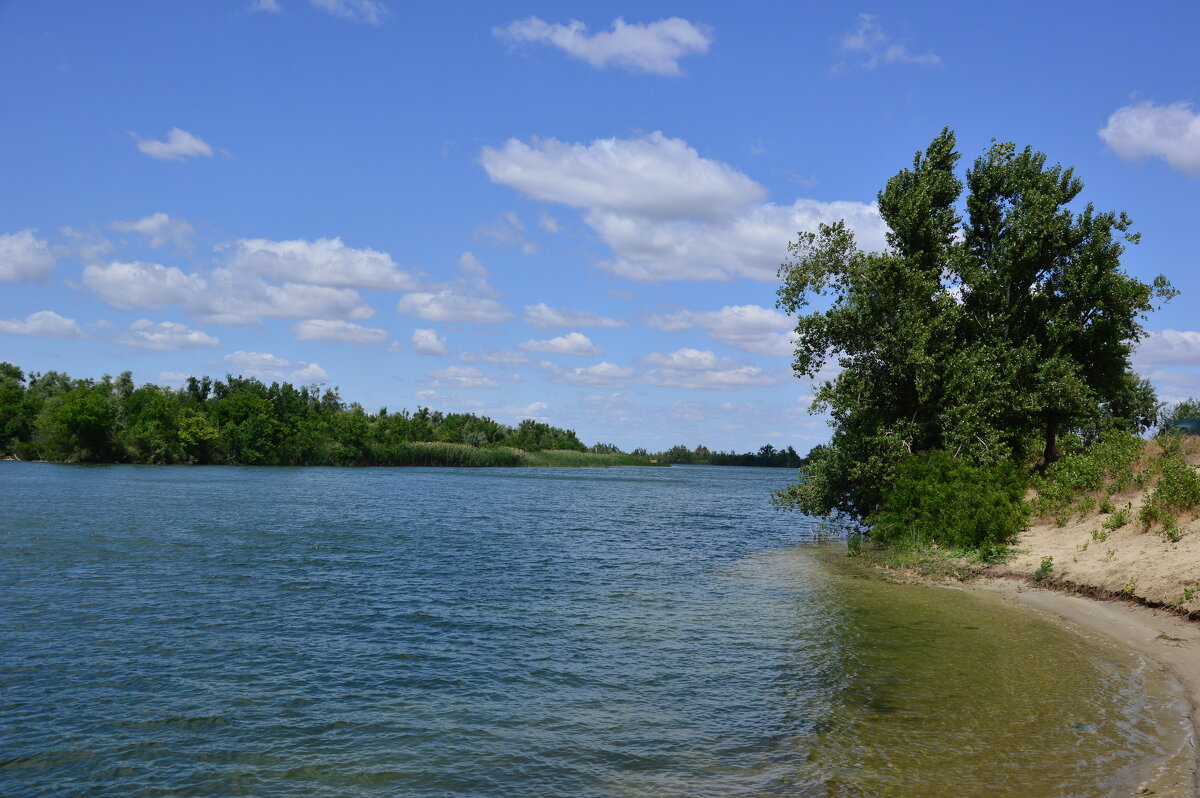 Река Сухая. - Виктор 