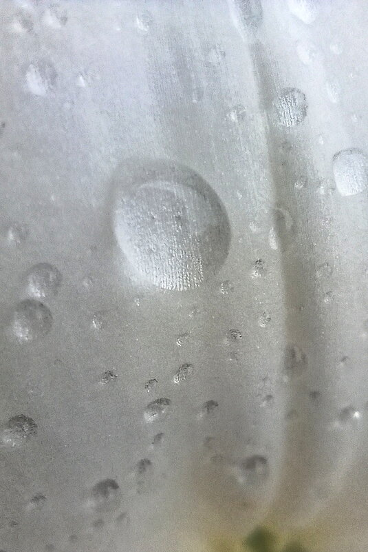 Чистая водичка! - Игорь Родионов