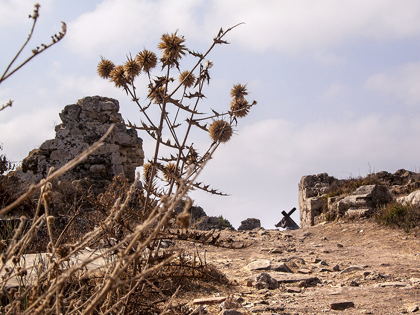 Путь на Голгофу - Владимир Шишкин
