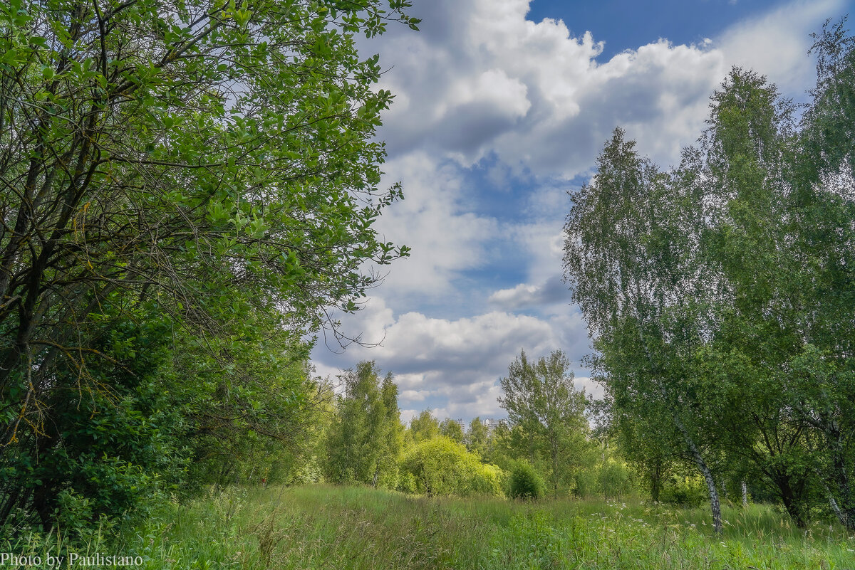 Конец июня... - Владимир Жданов Конец июня... - Владимир Жданов