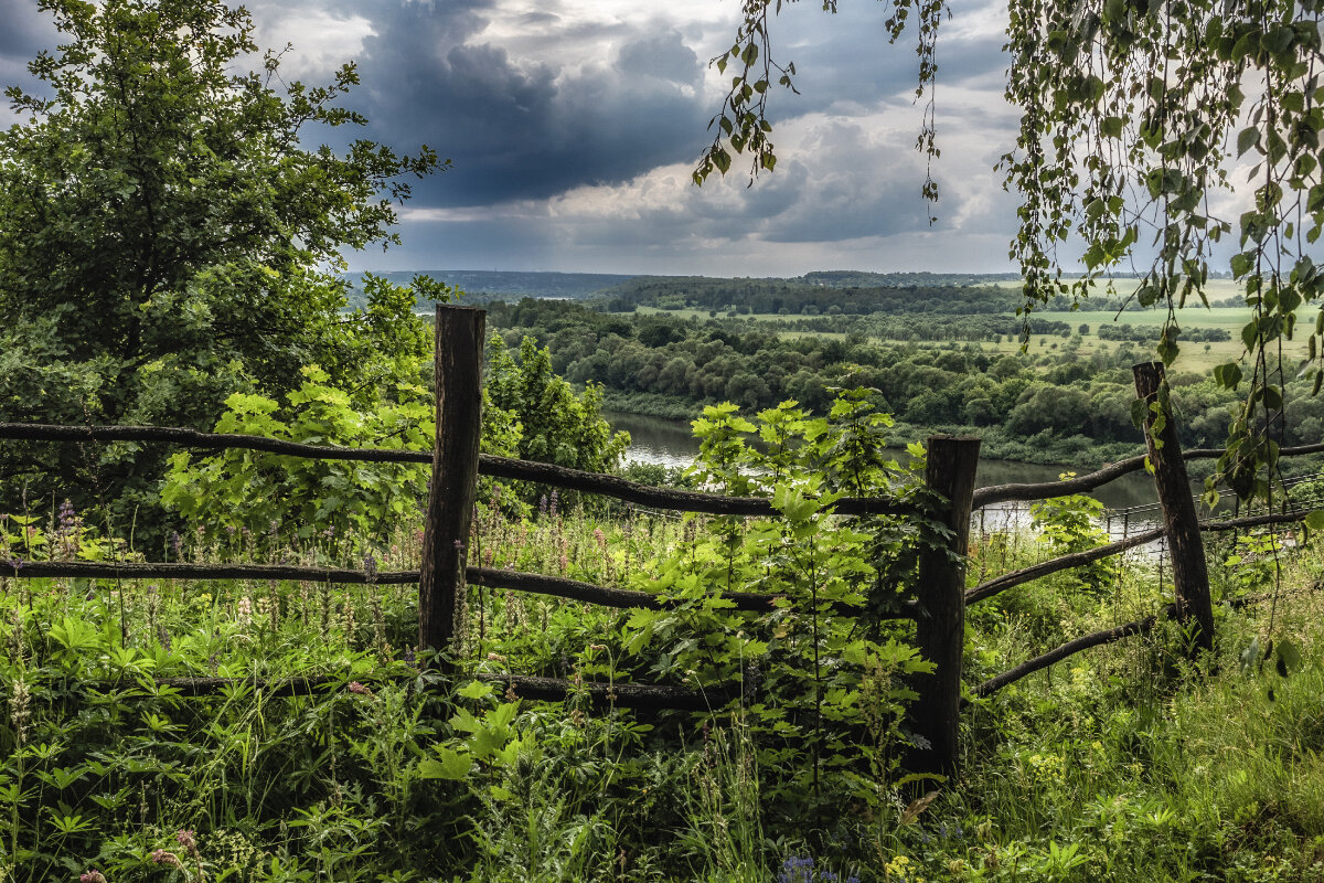 Лето в Поленово - Владимир 