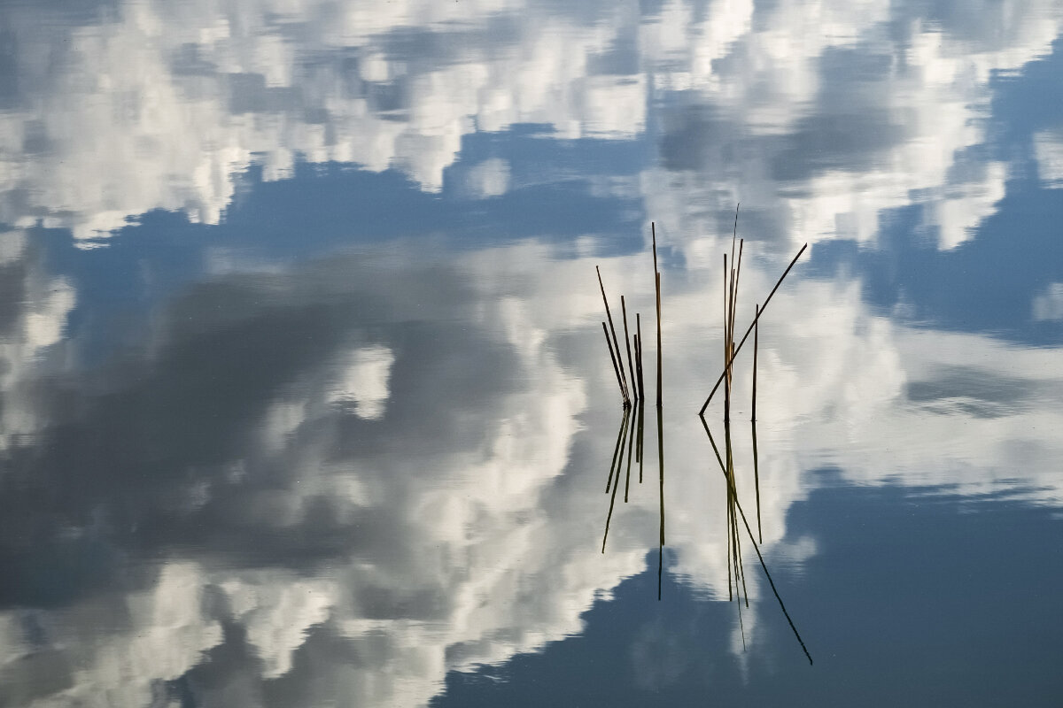 Наша жизнь, как отражение небес - Владимир Наша жизнь, как отражение небес - Владимир