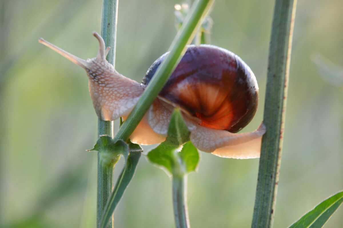 Удобно устроилась... - Надежда Куркина 