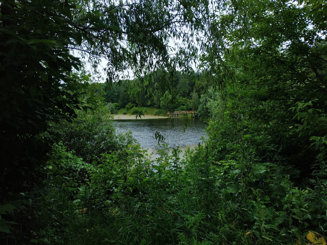 Июнь уж отступил. Он был таким. Июни не выбирают :-) - Андрей Лукьянов