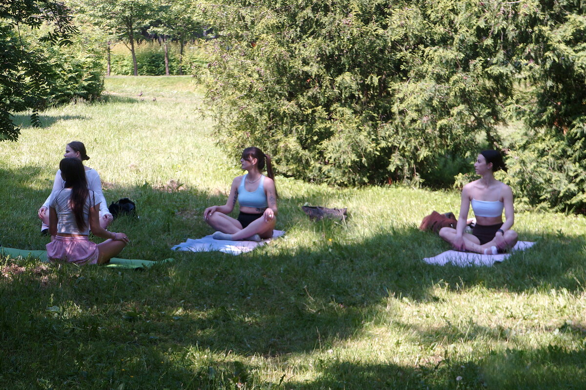 йожки - zavitok *