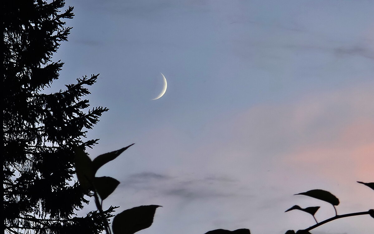 Растущая луна - Людмила Смородинская Растущая луна - Людмила Смородинская