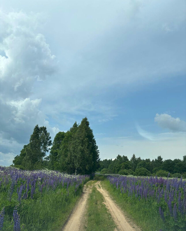 Это Россия - Алексей Домрин