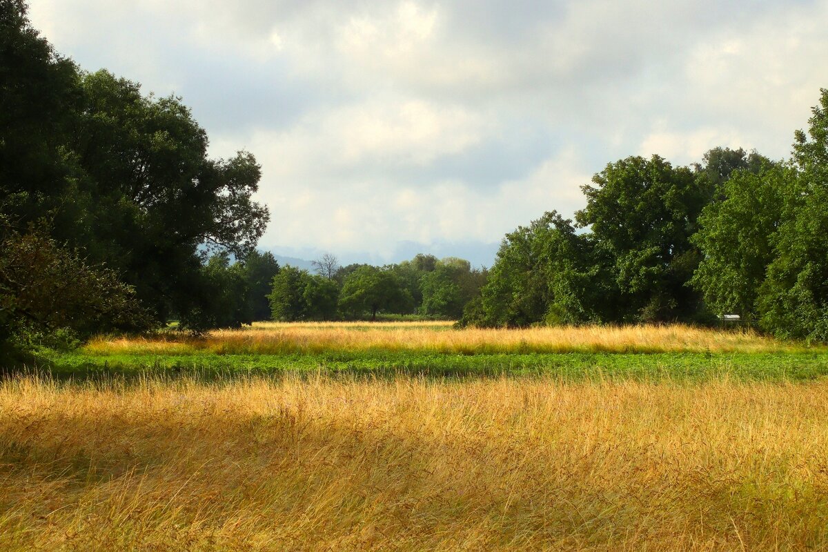 Утро - Юрий. Шмаков