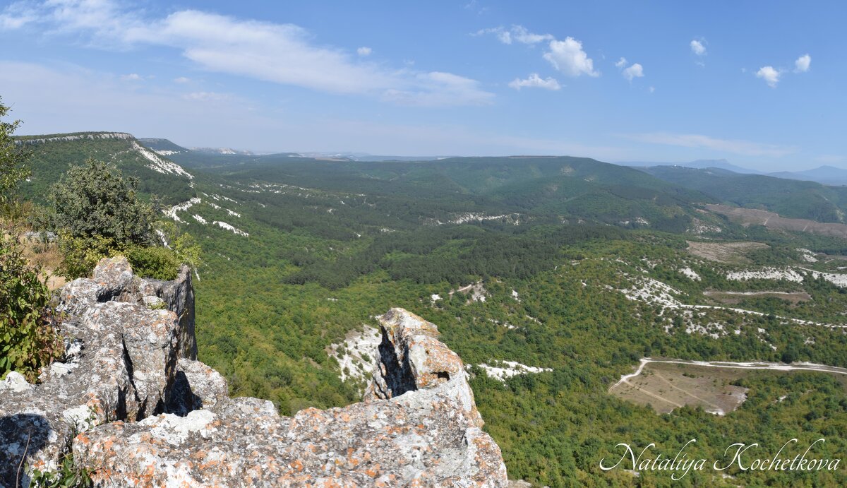 Природа Крыма - Amazing Cosmea