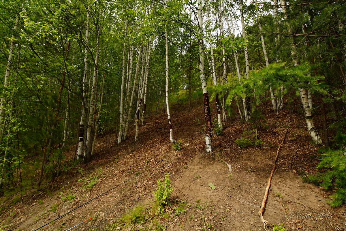 Крутой подъём... - Николай Гирш Крутой подъём... - Николай Гирш
