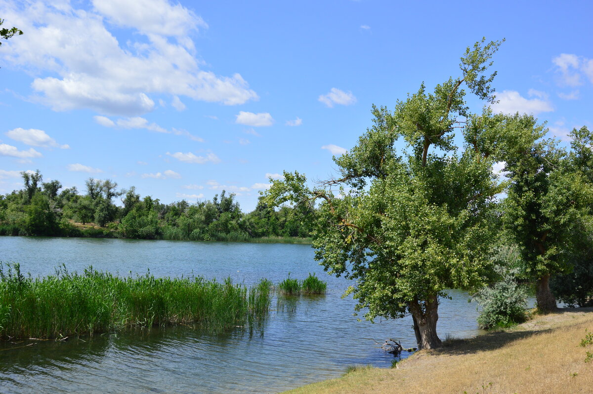 У реки. - Виктор 